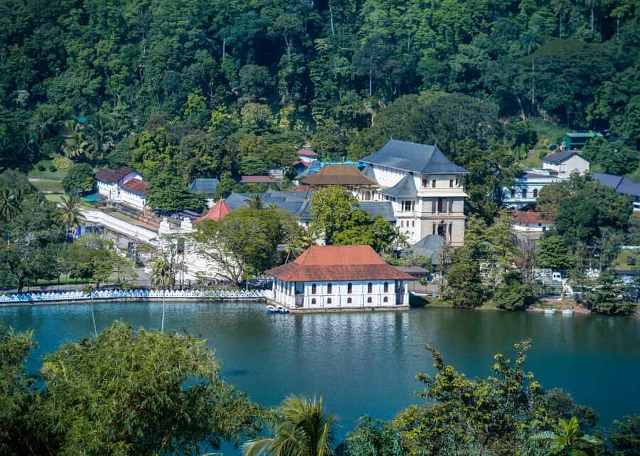 Kandy: 4-Day Sri Lanka Full Circle Private Tour To Colombo - Day 2: Tooth Temple, tea country, and the blue train to Ella