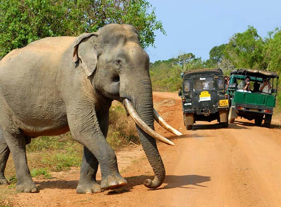 Kandy: 4-Day Sri Lanka Full Circle Private Tour To Colombo - Hotels and transport: comfortable enough, with a few “manage expectations” notes