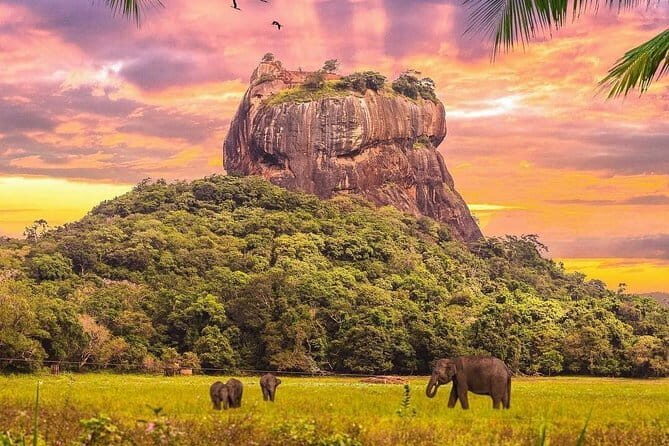 Kandy City Day Tour - FAQ