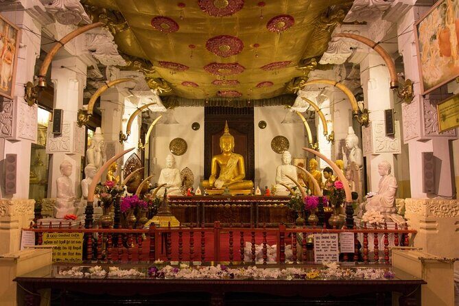 Kandy City Day Tour with a verified tour guide - Key highlights that make this tour work