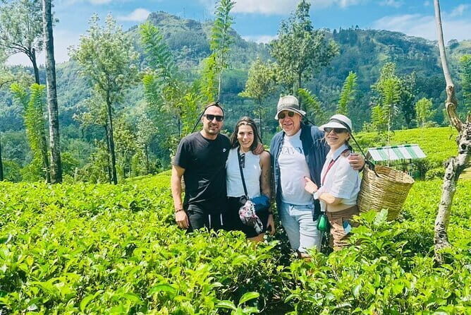 Kandy City Day Tour - Hotel Pickup and a Private Day That Feels Low-Stress