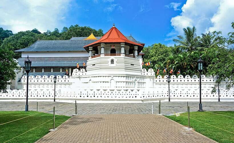 Kandy City Explore Full Day Tour , Like a Local - Peradeniya Royal Botanical Gardens and the Ceylon Tea Factory stop
