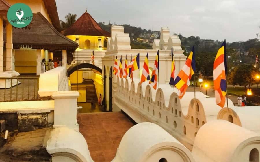 Kandy: City Explore with Local Guide By Tuk Tuk - Kandy Central Market and local shopping that doesn’t feel forced