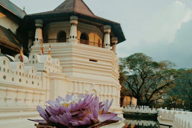 Kandy City guide Tour and day trip private luxury car and van - Kandy Market Hall and the Gem Centre: how everyday trade meets deep time