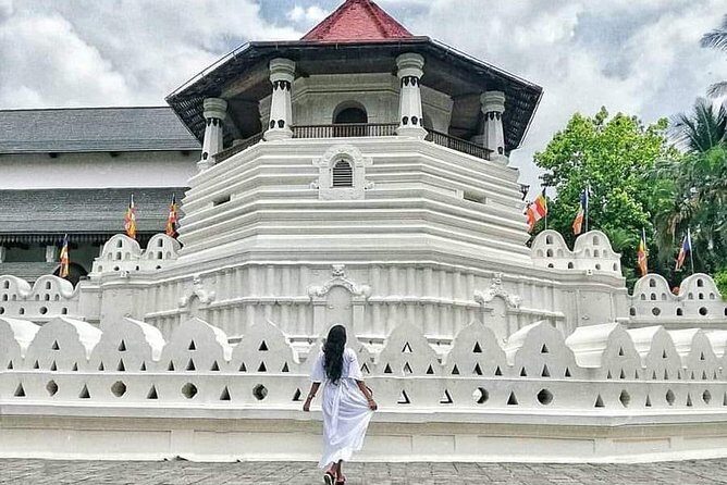 Kandy City guide Tour and day trip private luxury car and van - Royal Botanical Gardens at Peradeniya: your one ticket you might pay for