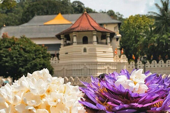 Kandy City Sightseeing and Ambuluwawa Tower by Tuk Tuk Tour - What to do about time: pace, photos, and not feeling rushed