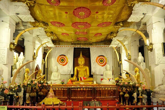 Kandy City Sightseeing Tour by Tuk Tuk - Bahirawakanda Big Buddha: Panoramas and a Different Kind of Calm