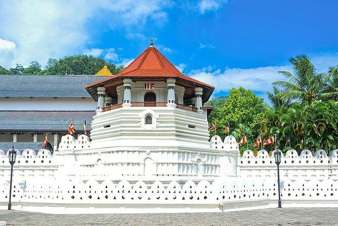 Kandy City Tour by Lux Tours Lanka - Key things that make this tour work