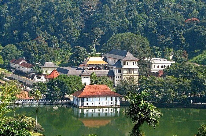 Kandy City Tour by Lux Tours Lanka - Royal Botanical Gardens: Royal Access, Now for Everyone