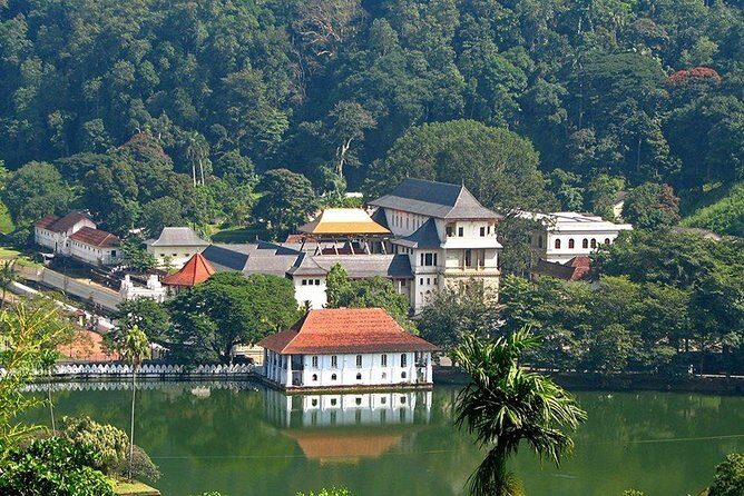Kandy City Tour by Lux Tours Lanka - How Pickup and a Private Driver Change Your Day