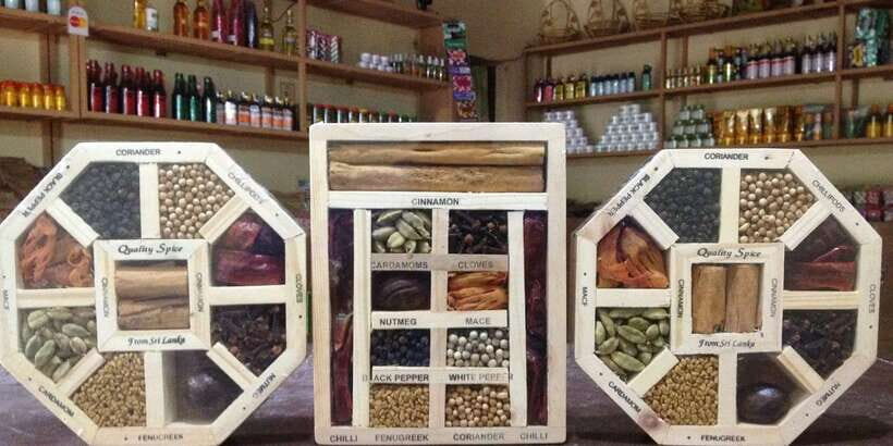 Kandy City Tour With Ambuluwawa Tower - Tea Factory, Herbal/Spices Center, and Gems: Worth It If You Go in With Eyes Open