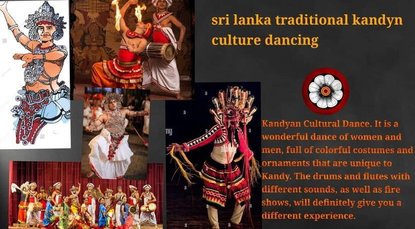 Kandy: City Tour with Temple of the Tooth & Tea Garden - Price and value: what $3.12 gets you (and what to double-check)