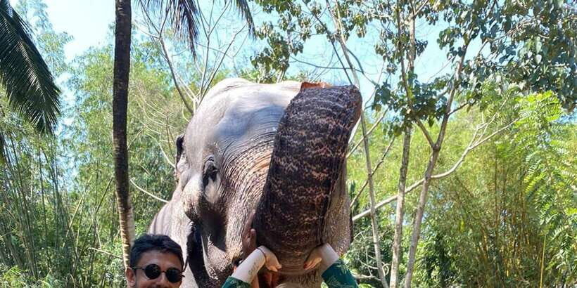 Kandy City Tours by Tuk Tuk - Crafts and culture stops: spice garden, tea factory, gems, and wood carving