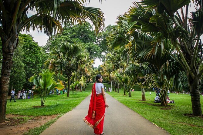Kandy Instagram Tour: Most Famous Spots (Private & All-Inclusive) - Lunch, Tickets, and the Real Value of the $154 Price
