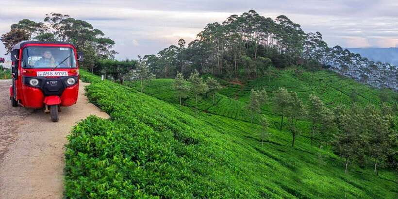 Kandy: Nuwara Eliya Day Trip - The 7:45 AM Pickup: Starting Early Without Feeling Rushed