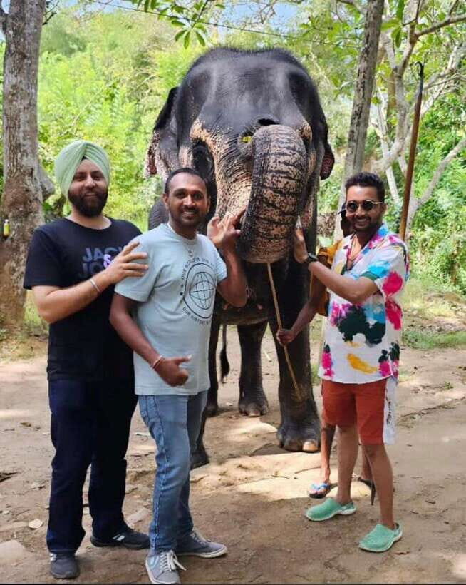 Kandy : Pinnawala Day Tour with Top Rated Local Guide - Key highlights worth planning for