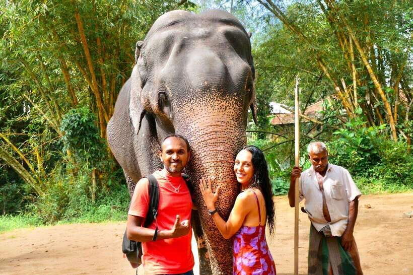 Kandy : Pinnawala Day Tour with Top Rated Local Guide - Tuk tuk ride and Kadugannawa viewpoint breaks