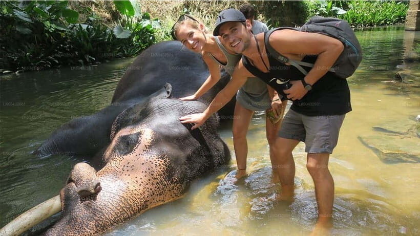 Kandy : Pinnawala Elephant Safari Private Guid Tuk Tuk Tour - Should you book the Pinnawala and Kandy tuk-tuk day?