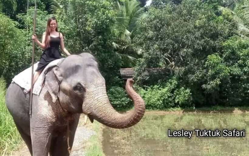 Kandy : Pinnawala Elephant Safari Private Guid Tuk Tuk Tour - Pinnawala Elephant Orphanage: what makes this leg worth your time