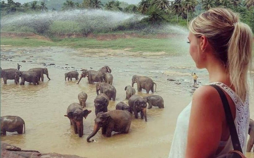 Kandy : Pinnawala Elephant Safari Private Guid Tuk Tuk Tour - Kadugannawa viewpoints and the roadside stops that add local texture