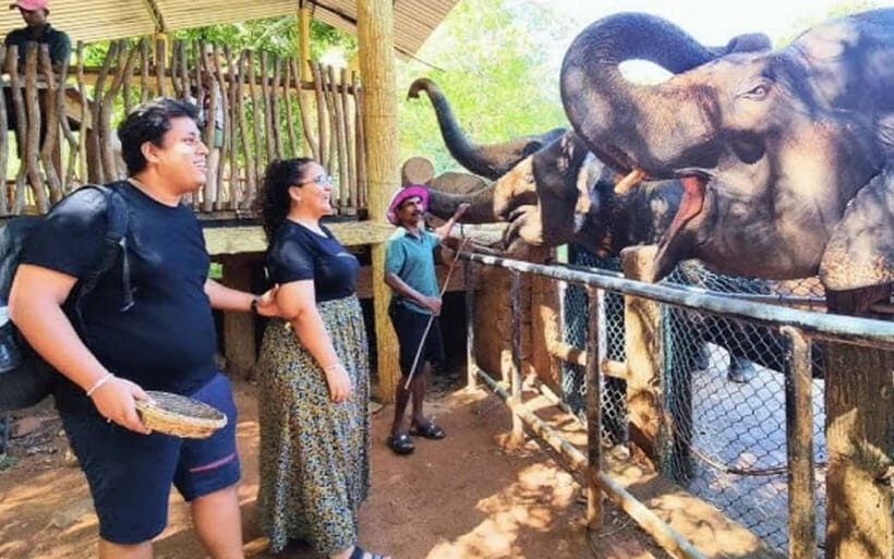 Kandy : Pinnawala Elephant Safari Private Guid Tuk Tuk Tour - Kandy’s hilltop viewpoints and temple time: photos and meaning
