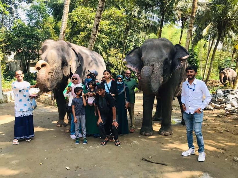 Kandy : Pinnawala Elephant Safari Private Guid Tuk Tuk Tour - Gems, crafts, dance, and the “how people make a living” stops