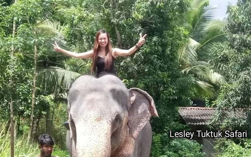 Kandy : Pinnawala Elephant Safari Private Guid Tuk Tuk Tour - Tuk-tuk pacing and the reality of an 8-hour loop