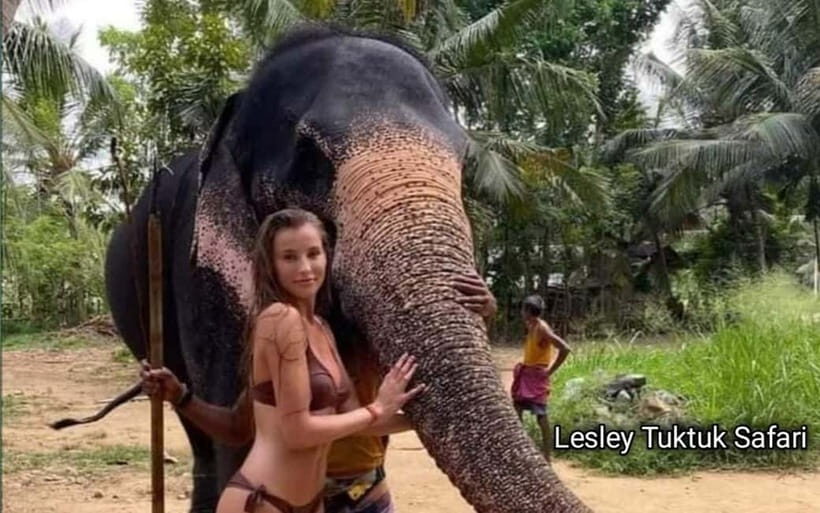 Kandy : Pinnawala Elephant Safari Private Guid Tuk Tuk Tour - Who this tour is (and isn’t) for