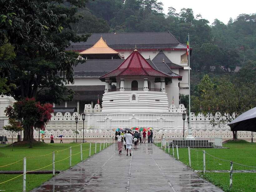 Kandy, Pinnawala Private Day Trip From The West Coast Beach - Should you book this Kandy and Pinnawala private day trip?