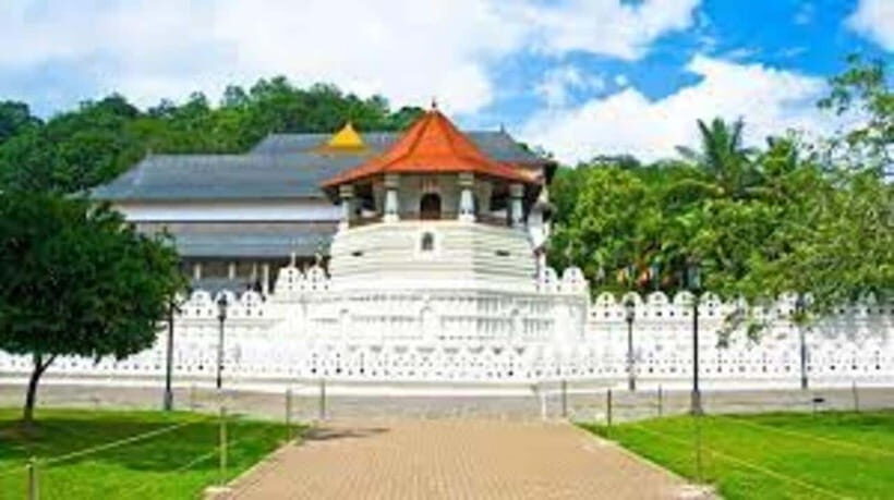 Kandy & Pinnawala & Tea Factory Full Day Tour From Negombo - Key things I’d pay attention to