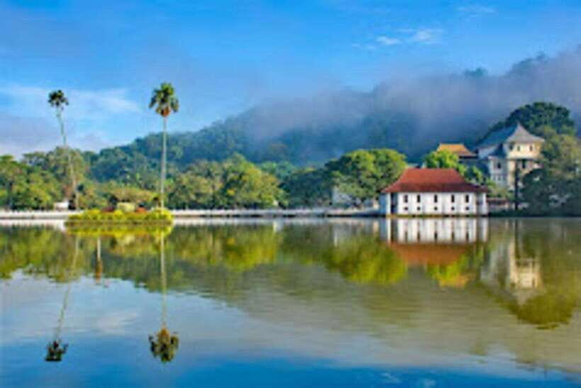 Kandy & Pinnawala & Tea Factory Full Day Tour From Negombo - Money and Value: What You Should Budget Beyond the Base Price