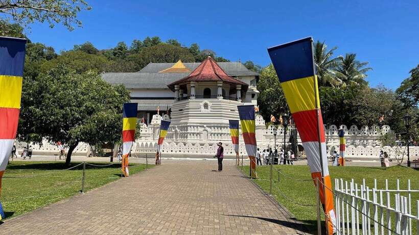 Kandy & Pinnawala & Tea Factory Full Day Tour From Negombo - The Big Picture: A 14-hour Kandy Day With Elephant, Tea, and Temples