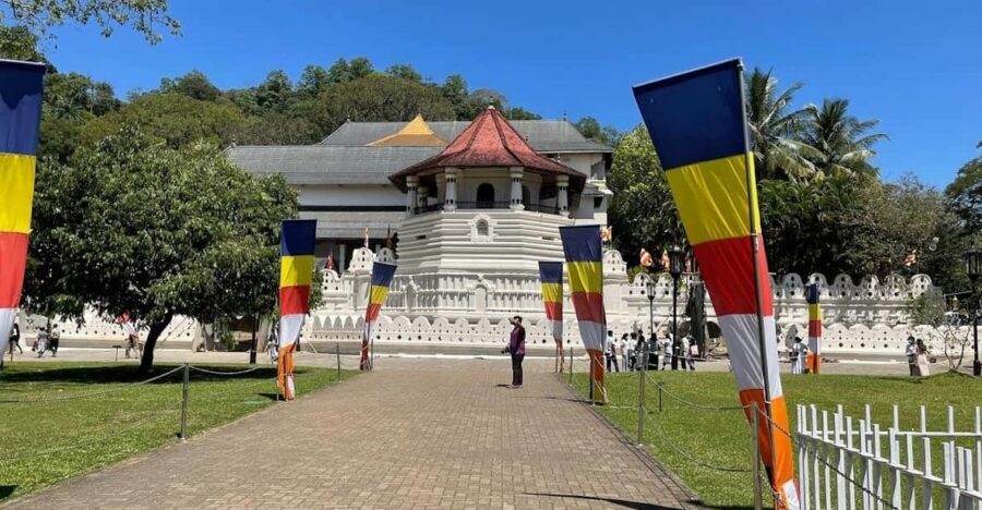 Kandy & Pinnawala & Tea Factory Full Day Tour From Negombo - Tea Factory and Tea Estate: How to Turn a Viewing Stop Into Learning