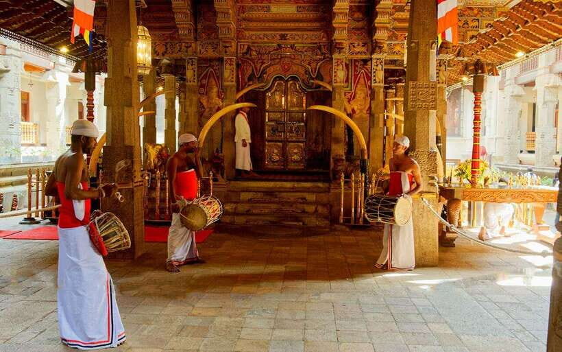 Kandy & Pinnawala & Tea Factory Full Day Tour From Negombo - The Temple of the Sacred Tooth Relic: What to Expect and How to Prepare