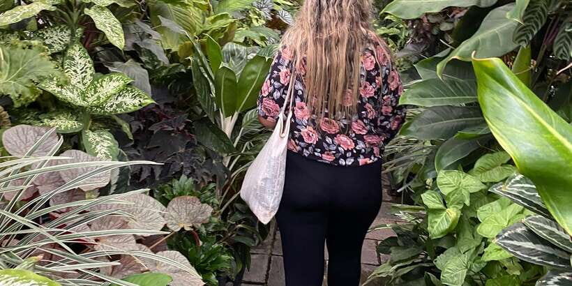 Kandy: Private City Highlights Guided Tour by Tuk-Tuk - Peradeniya Royal Botanical Gardens: orchids, Java fig, and a walk you’ll remember