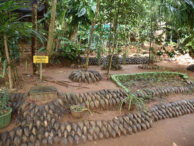 Kandy Private Guided City Tour by Tuk Tuk - Temple Stops That Give Kandy Its Core Meaning