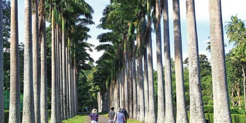 Kandy: Private Guided City Tours by Tuk Tuk Sightseeing Tour - Kandy Fruits Market lunch: eat locally without losing your schedule