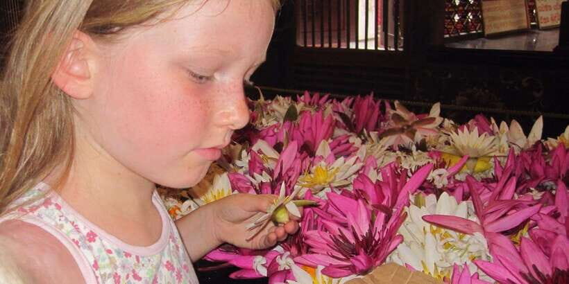Kandy: Private Guided City Tours by Tuk Tuk Sightseeing Tour - Tea factory and Ceylon tasting: what to listen for
