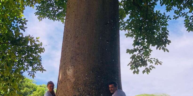 Kandy privet day tour with pinnawala and Tea plantation - Key things that make this Kandy day tour work