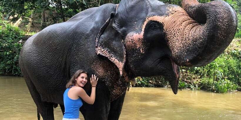 Kandy privet day tour with pinnawala and Tea plantation - Price and what $47 really covers
