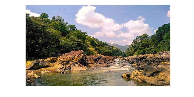 Kandy to Ambuluwawa & Kandy City Guided Tuk Tuk Day Tour - Private or Small Group Tours: Why the Guide Makes the Difference