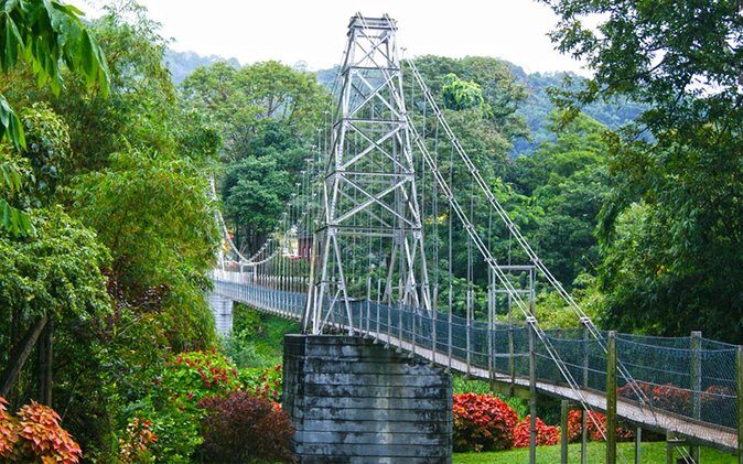 Kandy to Colombo Airport (Airport Drop) or Negombo - Price and value: $26 per person for a 3-hour private ride