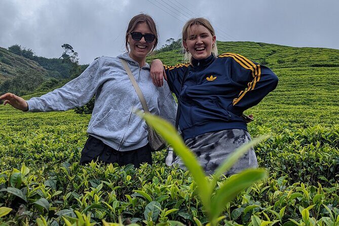 Kandy To Dambulla and Sigiria City Full Day by Laka Tours - Royal Botanical Gardens: When Royal Space Becomes Public Calm