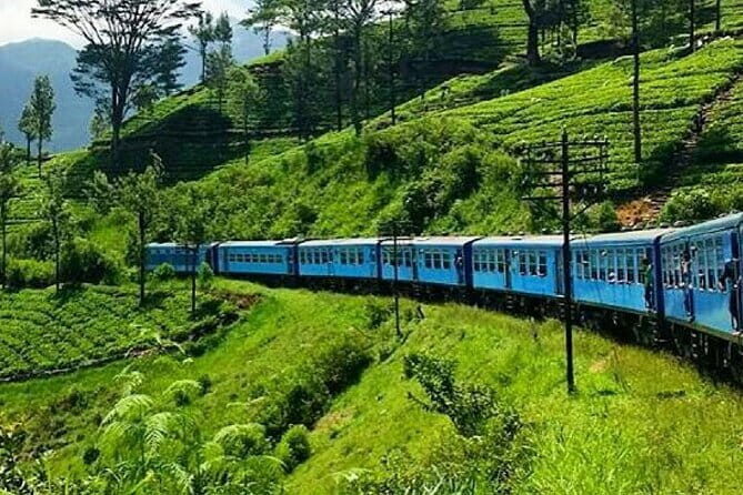 Kandy to Nanu Oya train ride on (Train No: 1005 "Podi Menike") - Key Things You’ll Remember Most