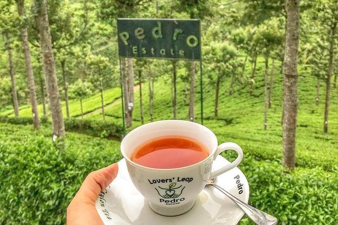 Kandy to Nuwara Eliya Day Tour - Key things to know before you go