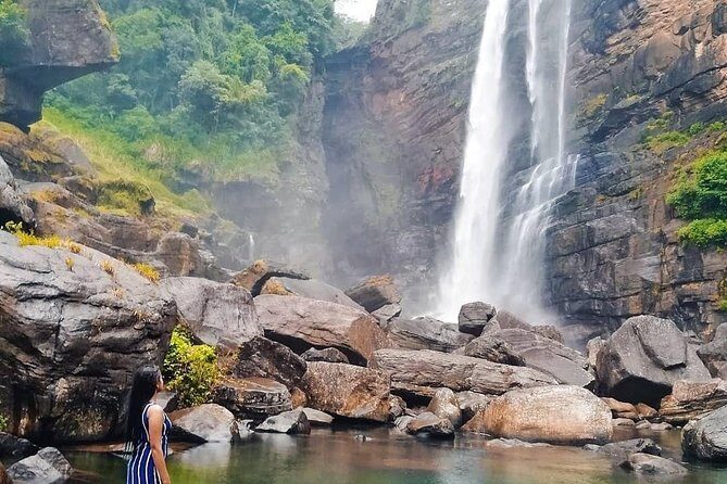 Kandy to Nuwara Eliya Day Tour - Tea plantations and tea factories: more than a quick photo stop