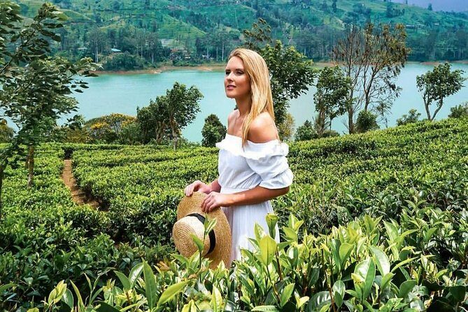 Kandy to Nuwara Eliya Day Tour - The car ride experience: comfort, views, and photo stops