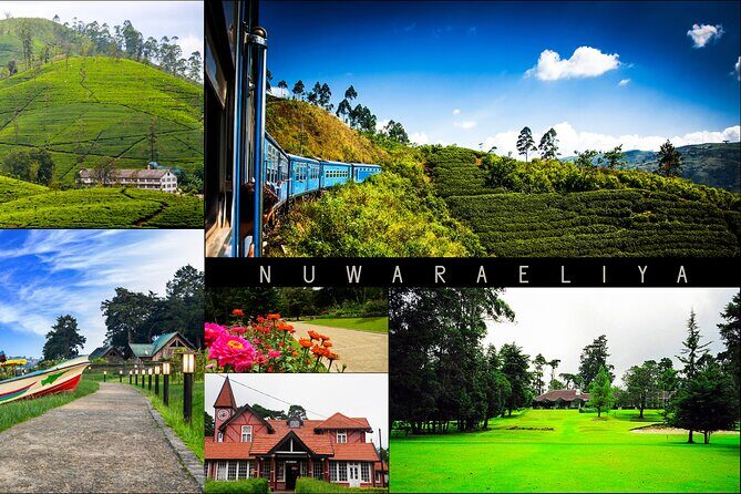 Kandy to Nuwara Eliya Day Trip – Little England & Tea Country - Key Highlights at a Glance