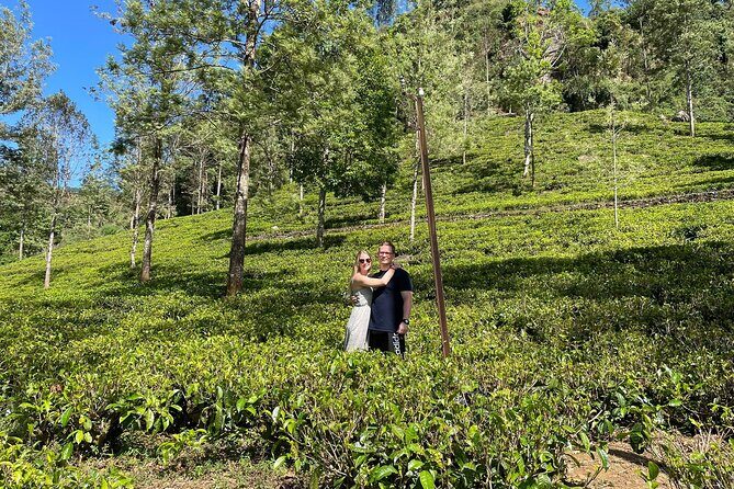 Kandy to Nuwara Eliya Day Trip – Little England & Tea Country - Gregory Lake and Victoria Park: Easy Walking in Nuwara Eliya