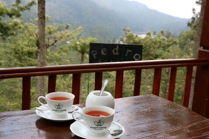 Kandy to Nuwara Eliya Day Trip – Little England & Tea Country - Price and Logistics: Is $30 Good Value for This Much Day?